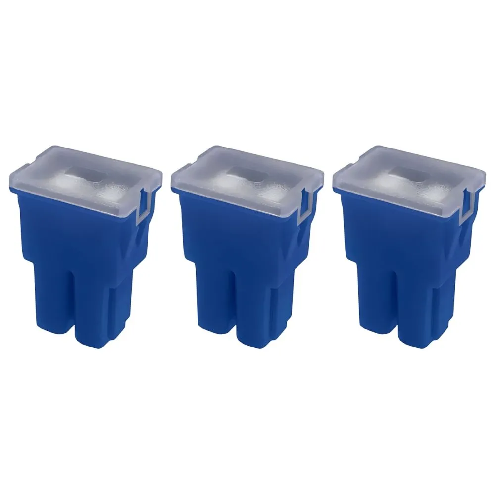 [2207-1100] Fusible 100 Hembra (2207-1100)