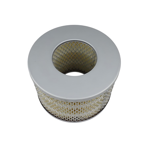Filtro de Aire Troop 4.2 2L 3Y 1/2RZ 5L (17801-54030)