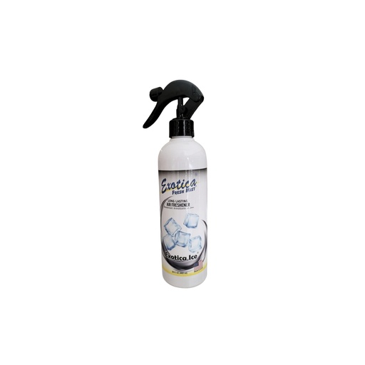 Desodorante Spray Ice Black 16 ONZ (FM16-ICE)