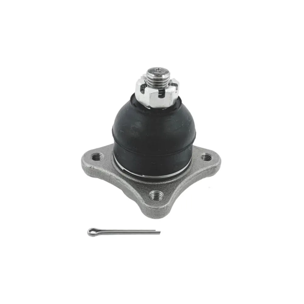 Rot Sus Sup del Montero 01-SB-7841 (MR496792)