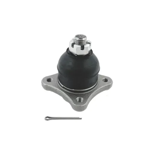 Rot Sus Sup del Montero 01-SB-7841 (MR496792)