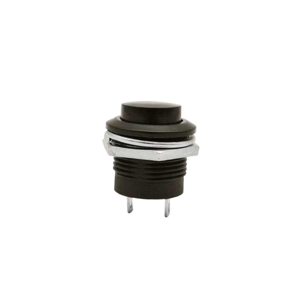 Boton Pito Tipo Bosh 12V y 24V 10A 2P (A0107-005B-2B-1)