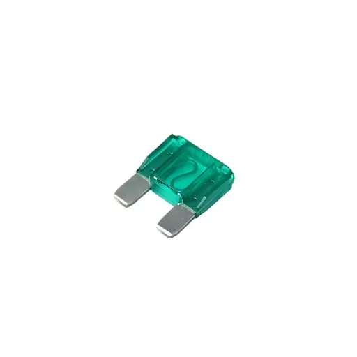 Fusible Muela 30AMP (A15708)