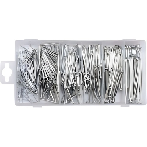 Caja de Pasadores 555 Pcs (YT-06873)