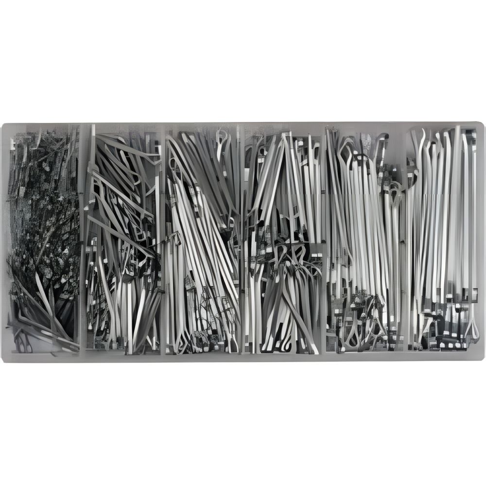 Caja Pasadores 1000PCS (YT-06885)